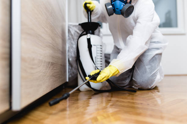 Reliable Cedar Hills, UT Pest Control Solutions