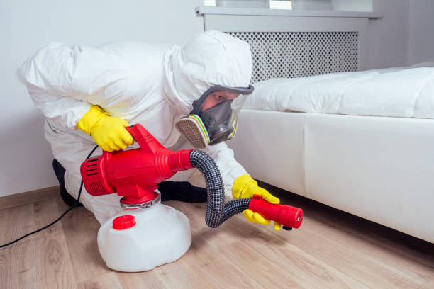 Pest Control for Restaurants in Cedar Hills, UT