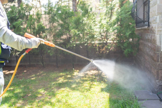 Best Insect Control  in Cedar Hills, UT