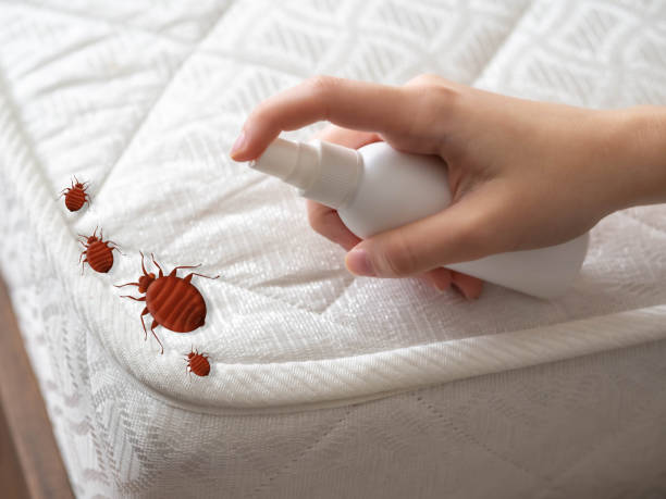 Best Residential Pest Control  in Cedar Hills, UT