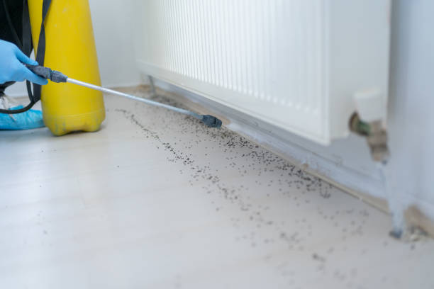 Best Ant Control Services  in Cedar Hills, UT