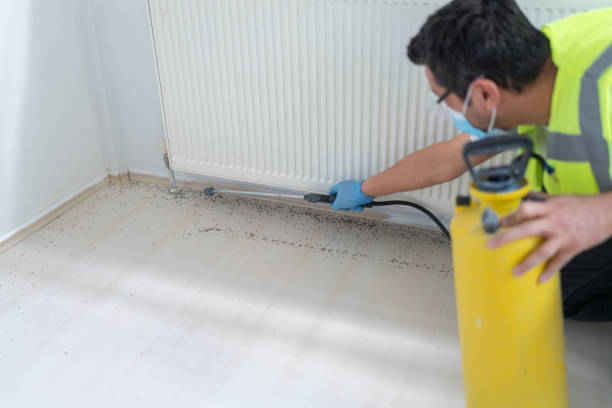 Best Pest Removal Services  in Cedar Hills, UT