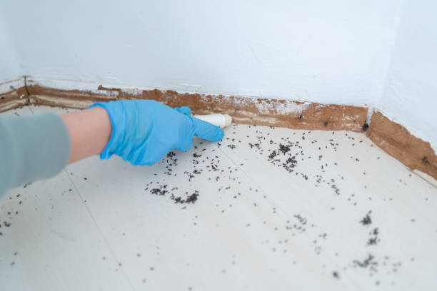 Best Pest Prevention Services  in Cedar Hills, UT