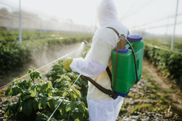Best Commercial Pest Control Services  in Cedar Hills, UT